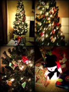 Christmas Trees.