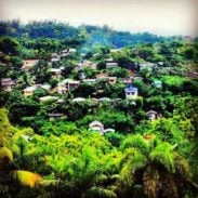 Cebu City View