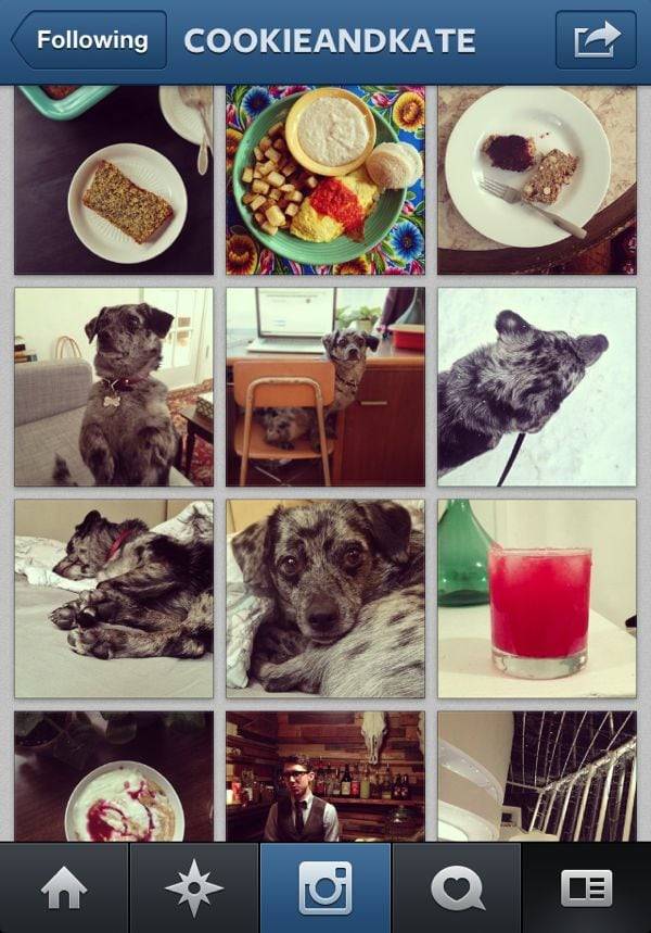 Instagram feed.