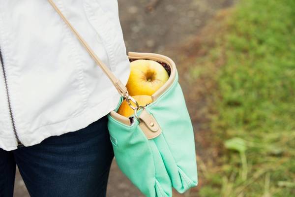 Purse of Apples.