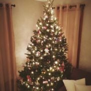 gift guide