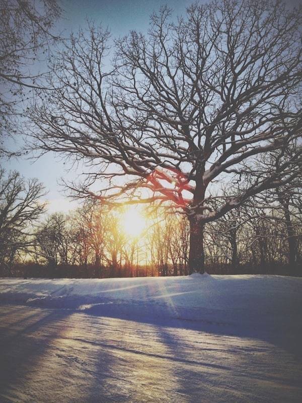 Sunset through trees.