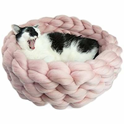 Cat bed.