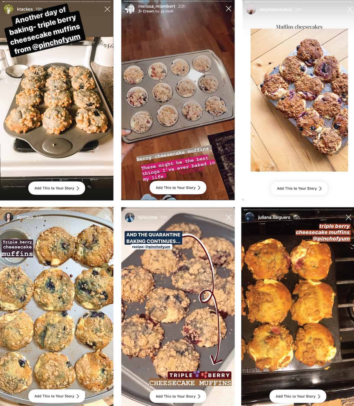 Various homemade triple berry muffins in muffin trays.