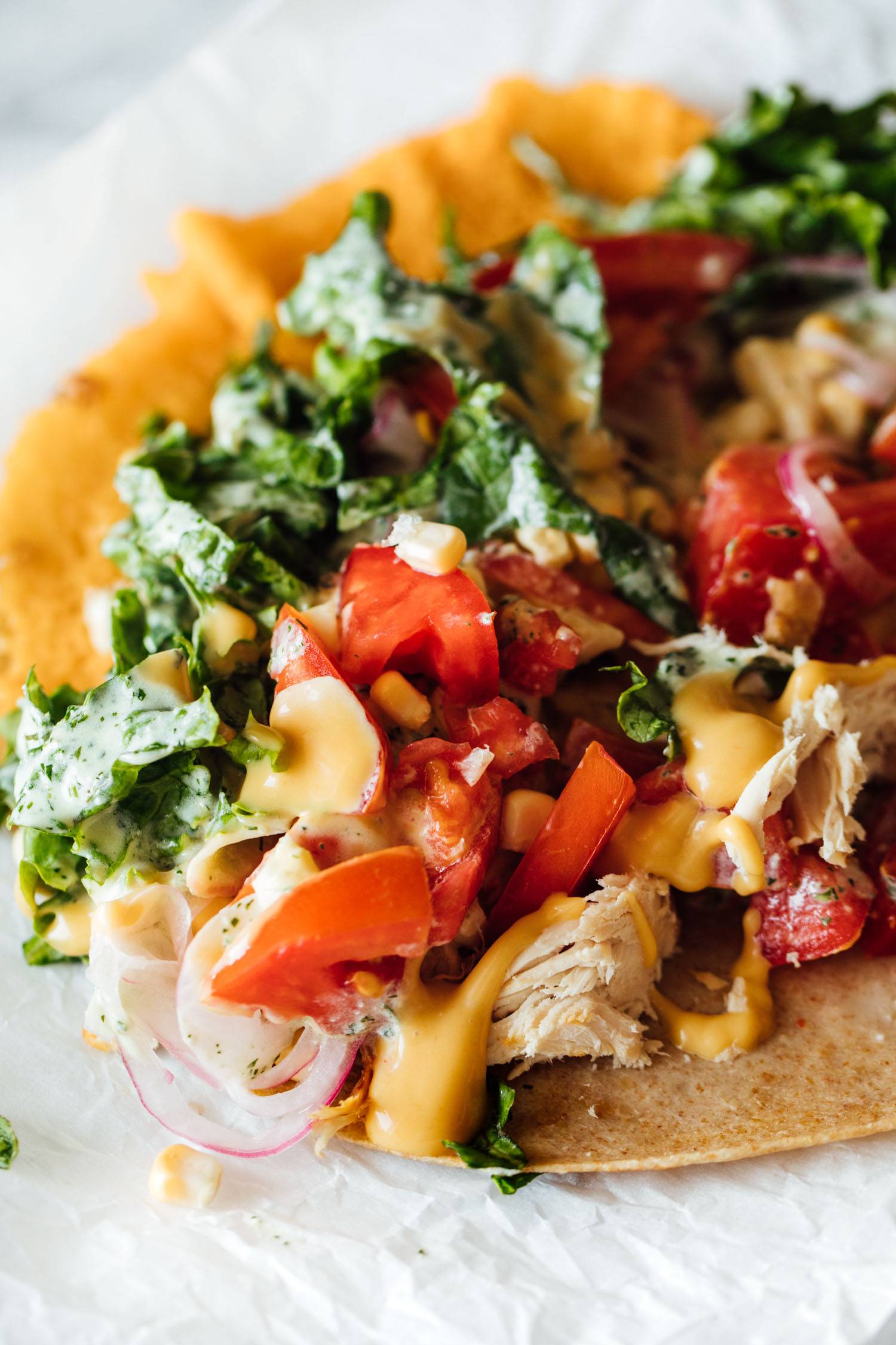Close up of a saucy chicken wrap with toppings.