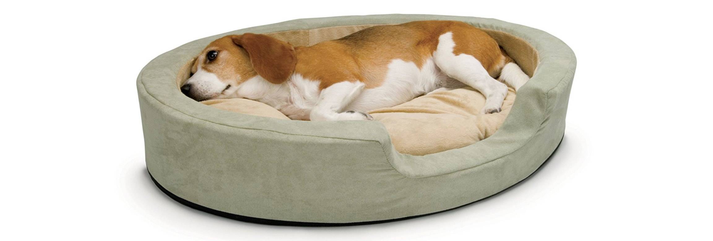 Heated dog bed.