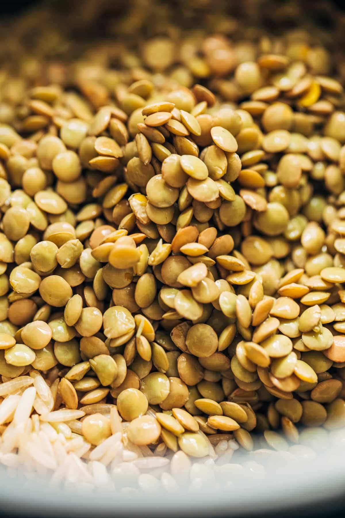 Lentils.