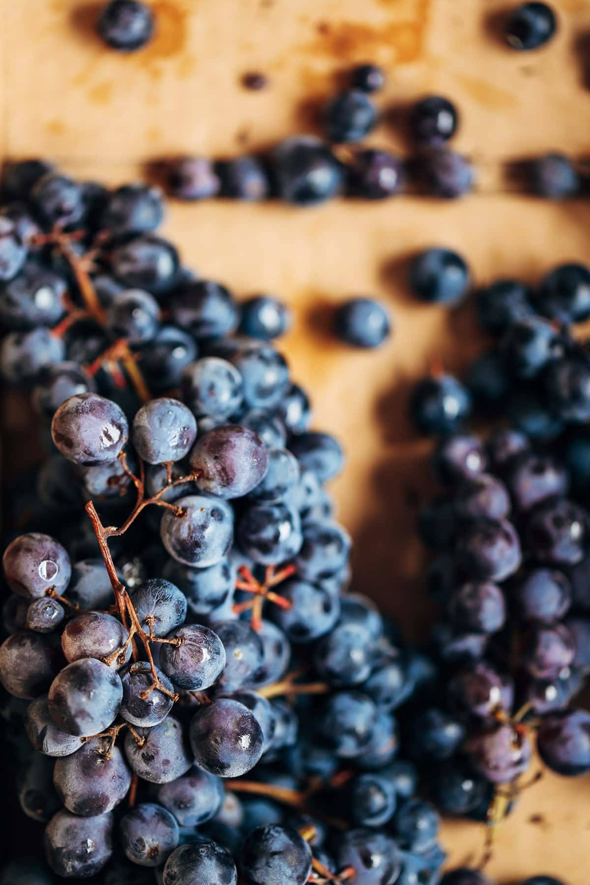 Blueberries.